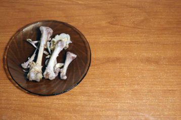 Help! My Garbage Disposal is Leaking from the Reset Button - Shiny Modern