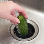 putting a cucumber down the garbage disposal