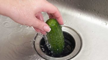 putting a cucumber down the garbage disposal