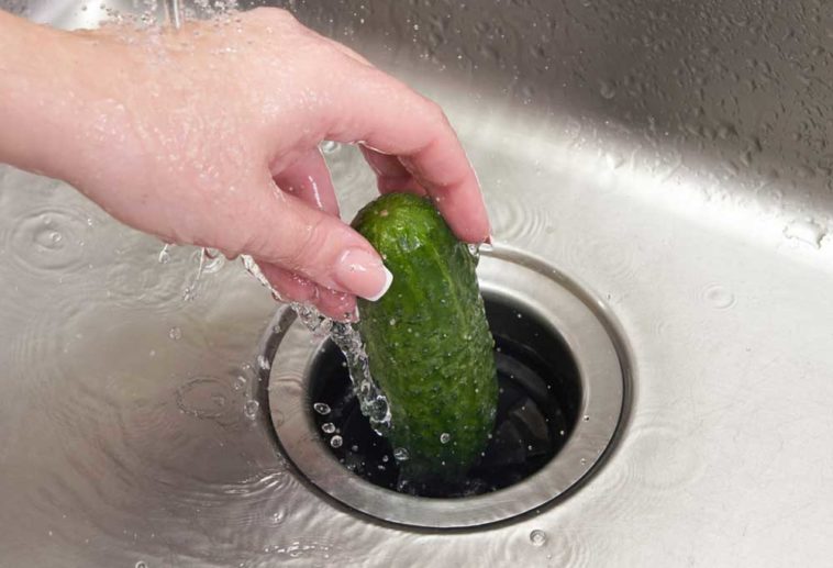 putting a cucumber down the garbage disposal