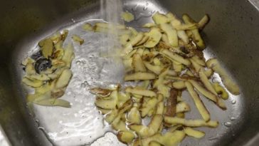 potato peels in a sink
