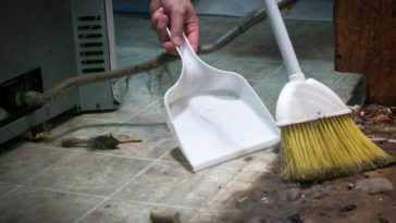 Dirt under a fridge being swept into a dust pan