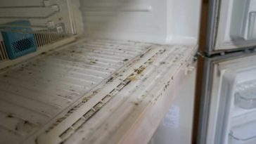The moldy insides of an empty fridge