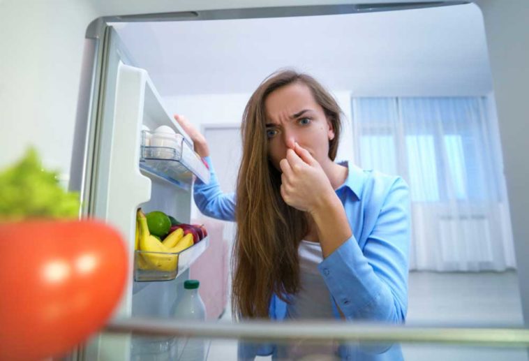 woman looking into open fridge while pinching her nose