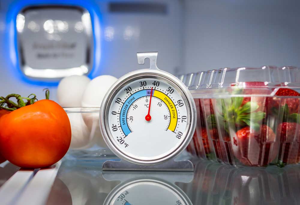 Dial thermometer in the fridge with eggs, tomato, and strawberries