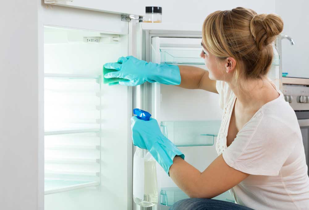 Woman with fridge door open and cleaning the gasket area inside the door