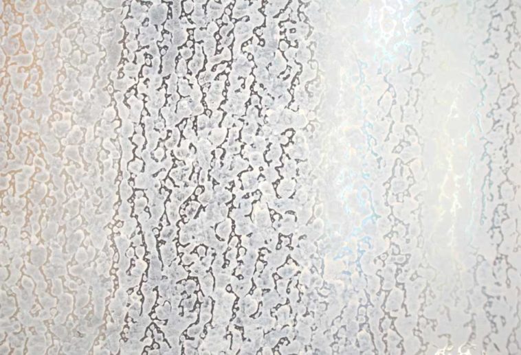 Water stains on glass