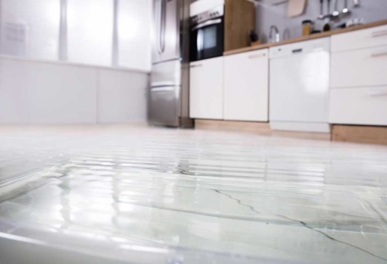 Kitchen with water pooled on floor
