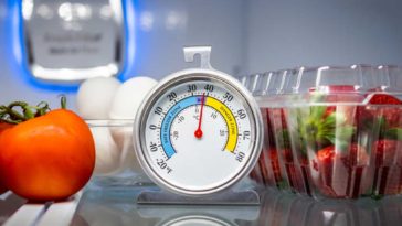 Dial thermometer sitting on shelf in fridge next to strawberries, eggs, and a tomato