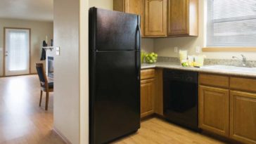 Black appliances in a kitchen with honey colored cabinets