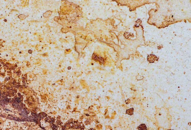 Grease stains on a white surface