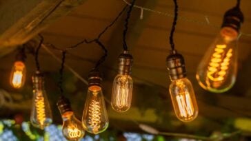 Edison style string lights attached to a raw beam under an unfinished roof