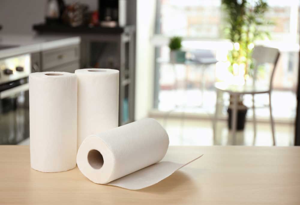 2 rolls of paper towels on a kitchen counter