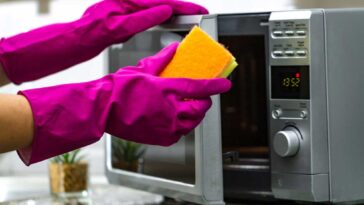 Pink gloved hands holding a sponge, opening a microwave as if to clean it