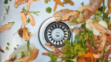 Random vegetable peels in a kitchen sink