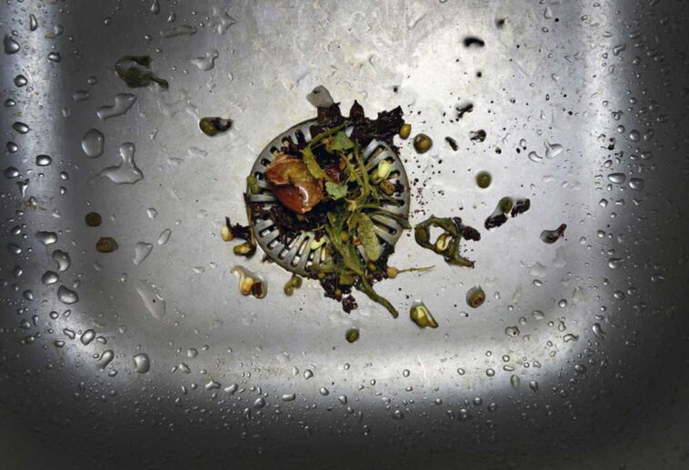 Bits of food sitting in a full garbage disposal drain