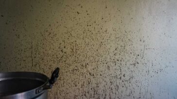 greasy kitchen wall behind a stove top