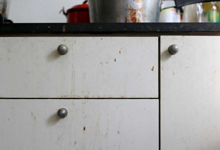 Greasy kitchen cabinets