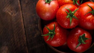Bunch of tomatoes with stems in a bowl on a wooden table