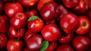 overhead view of a pile of red apples