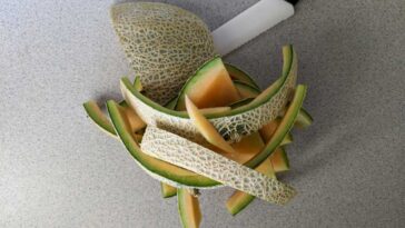 A knife with the rind of a canaloupe cut into wedges