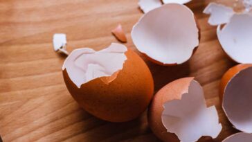 Brown eggshells on a wooden board