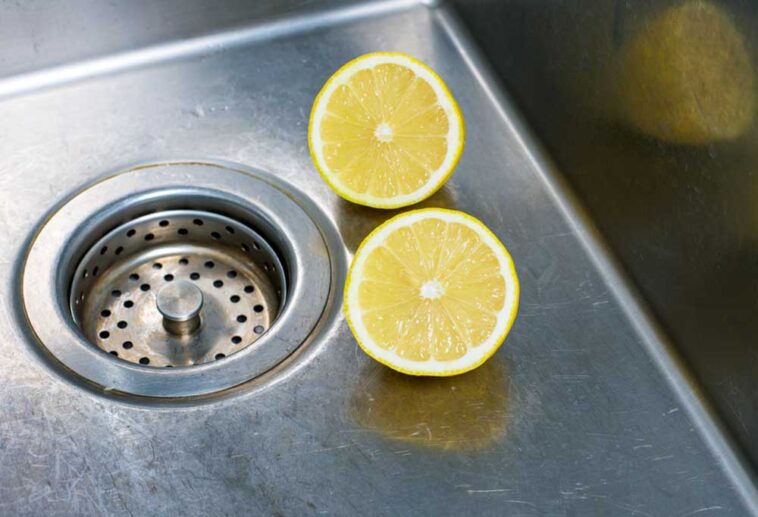 Lemon Peels in the Garbage Disposal (Good or Bad) Shiny Modern