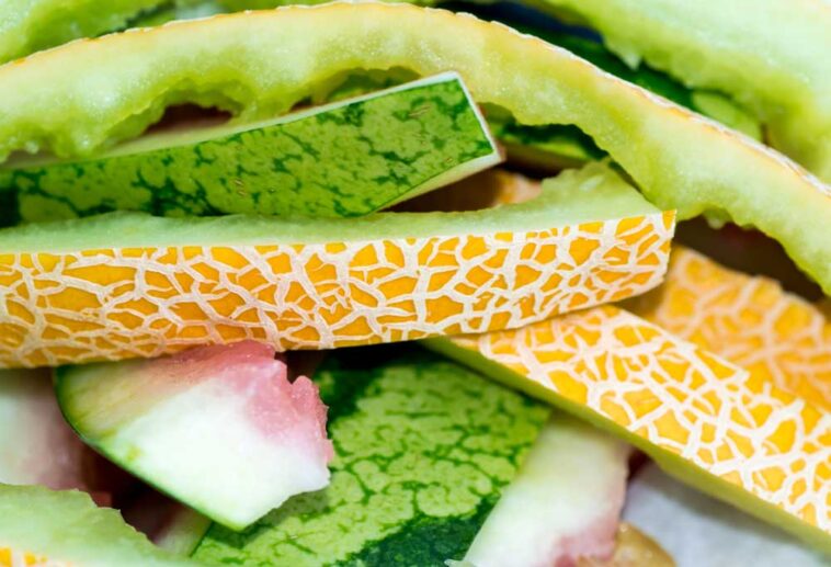 can-you-put-cantaloupe-rinds-in-a-garbage-disposal-shiny-modern