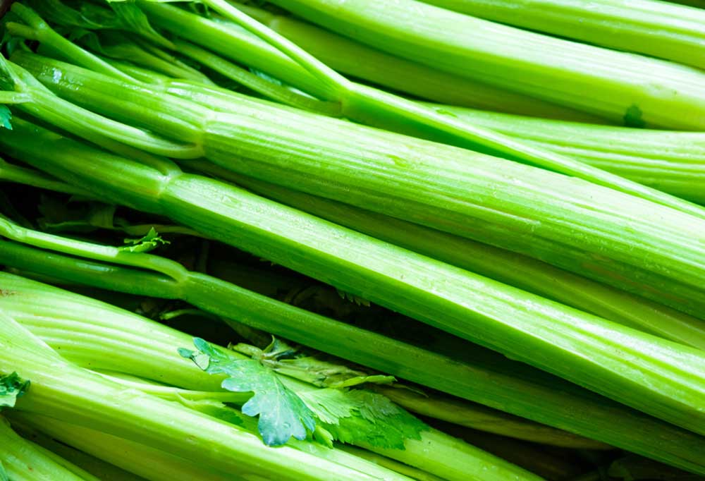 Close up of celery stalks
