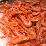 Red, cooked shrimp in shells