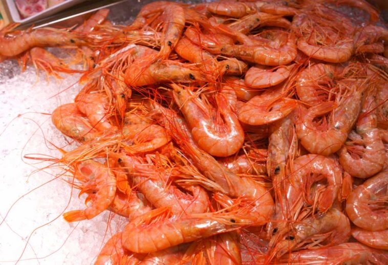 Red, cooked shrimp in shells