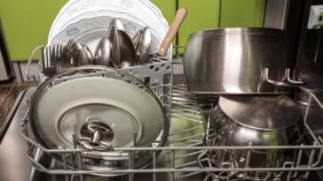 Dishes in a dishwasher with a lime green wall in the background