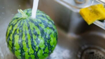 Small whole watermelon in a kitchen sink with water running on it
