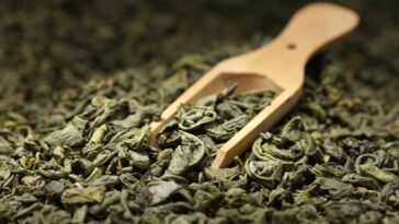 A wooden scoop laying in top of a pile of loose tea leaves