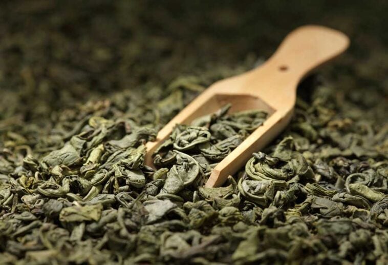 A wooden scoop laying in top of a pile of loose tea leaves